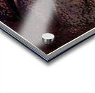 4193 8K Acrylic print