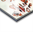 4169 8K Acrylic print