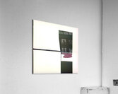 105 8K Acrylic Print