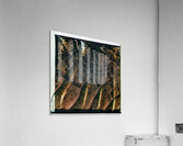 145 8K Acrylic Print