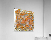 147 8K Acrylic Print