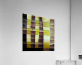 137 8K Acrylic Print