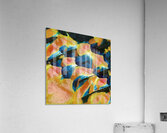 124 8K Acrylic Print