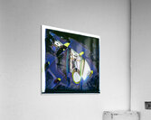 159 8K Acrylic Print