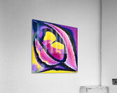 165 8K Acrylic Print