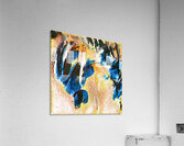 194 8K Acrylic Print