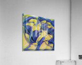 181 8K Acrylic Print