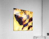 187 8K Acrylic Print