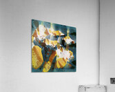 223 8K Acrylic Print