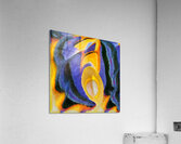 242 8K Acrylic Print