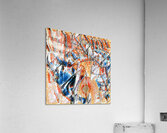 236 8K Acrylic Print