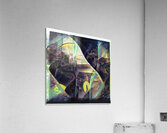 209 8K Acrylic Print