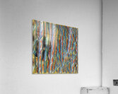 232 8K Acrylic Print