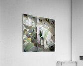 217 8K Acrylic Print