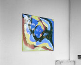 213 8K Acrylic Print