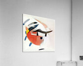 205 8K Acrylic Print