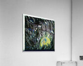 254 8K Acrylic Print