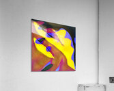 275 8K Acrylic Print