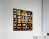 297 8K Acrylic Print