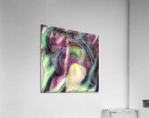 274 8K Acrylic Print