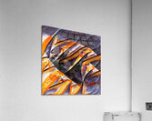 298 8K Acrylic Print