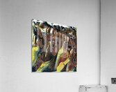 294 8K Acrylic Print