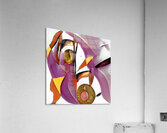 286 8K Acrylic Print