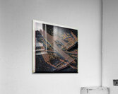 289 8K Acrylic Print