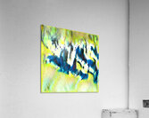 253 8K Acrylic Print