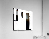 277 8K Acrylic Print