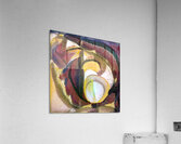 292 8K Acrylic Print