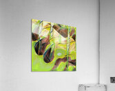 319 8K Acrylic Print