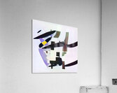 303 8K Acrylic Print