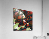 306 8K Acrylic Print