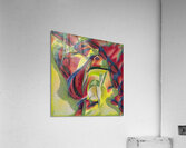 314 8K Acrylic Print