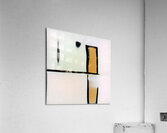 335 8K Acrylic Print