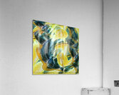 325 8K Acrylic Print