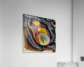 348 8K Acrylic Print