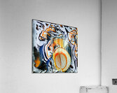 322 8K Acrylic Print