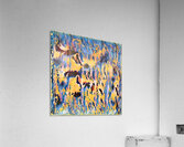 301 8K Acrylic Print