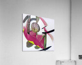 354 8K Acrylic Print