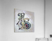 366 8K Acrylic Print