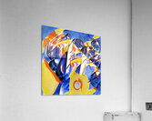 396 8K Acrylic Print