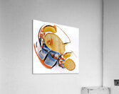 380 8K Acrylic Print