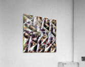 381 8K Acrylic Print