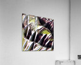 398 8K Acrylic Print