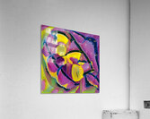 384 8K Acrylic Print