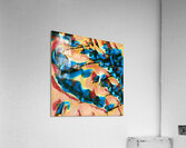 373 8K Acrylic Print