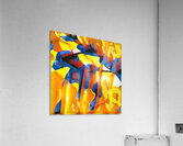 446 8K Acrylic Print