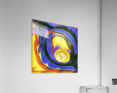 442 8K Acrylic Print